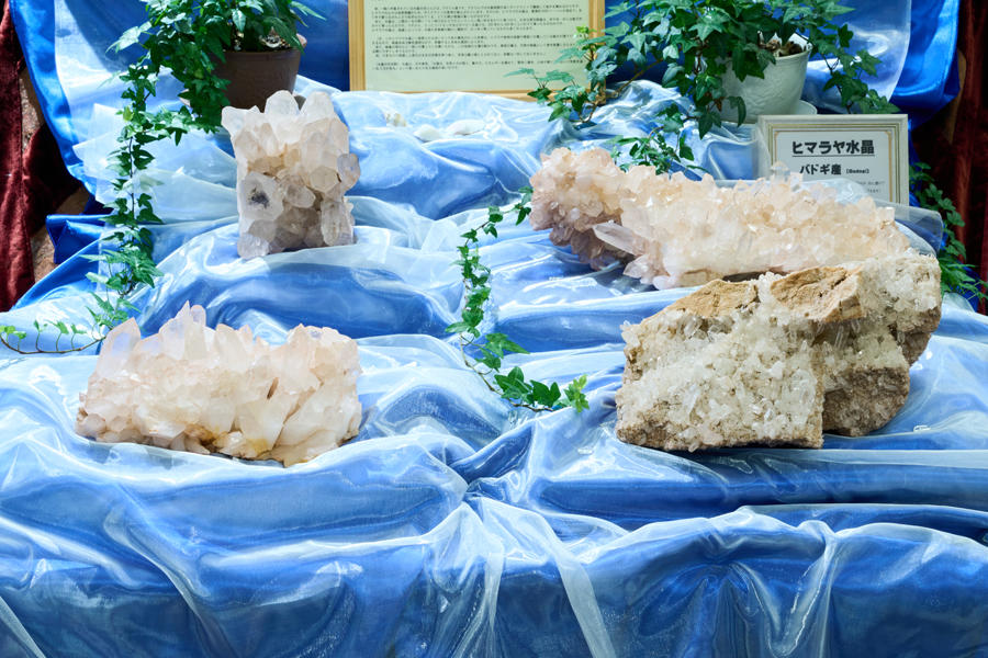 イベント用-25.8.jpg