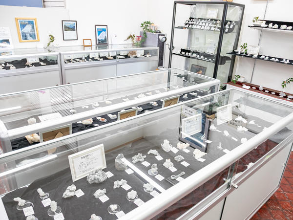 店内-2段左-20260317_7992-600.jpg