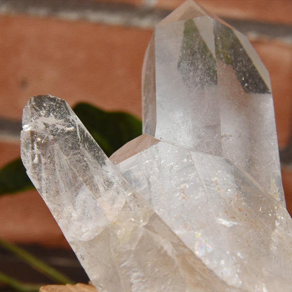 Himalayan-Crystal-pr-103-600-3.jpg