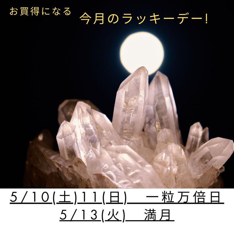 25.5-ラッキーデーのご案内-一般向け-800.jpg