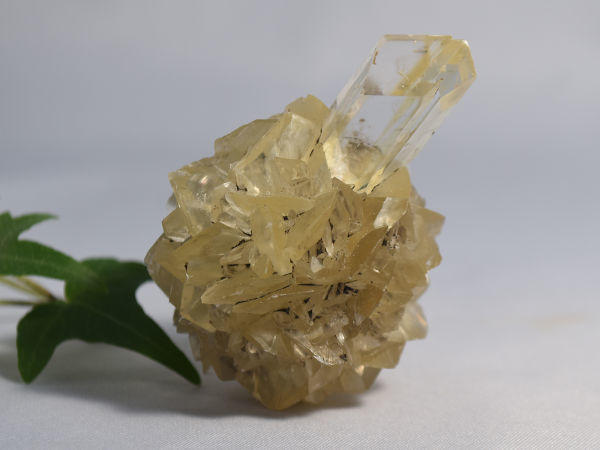 selenite-600.jpg